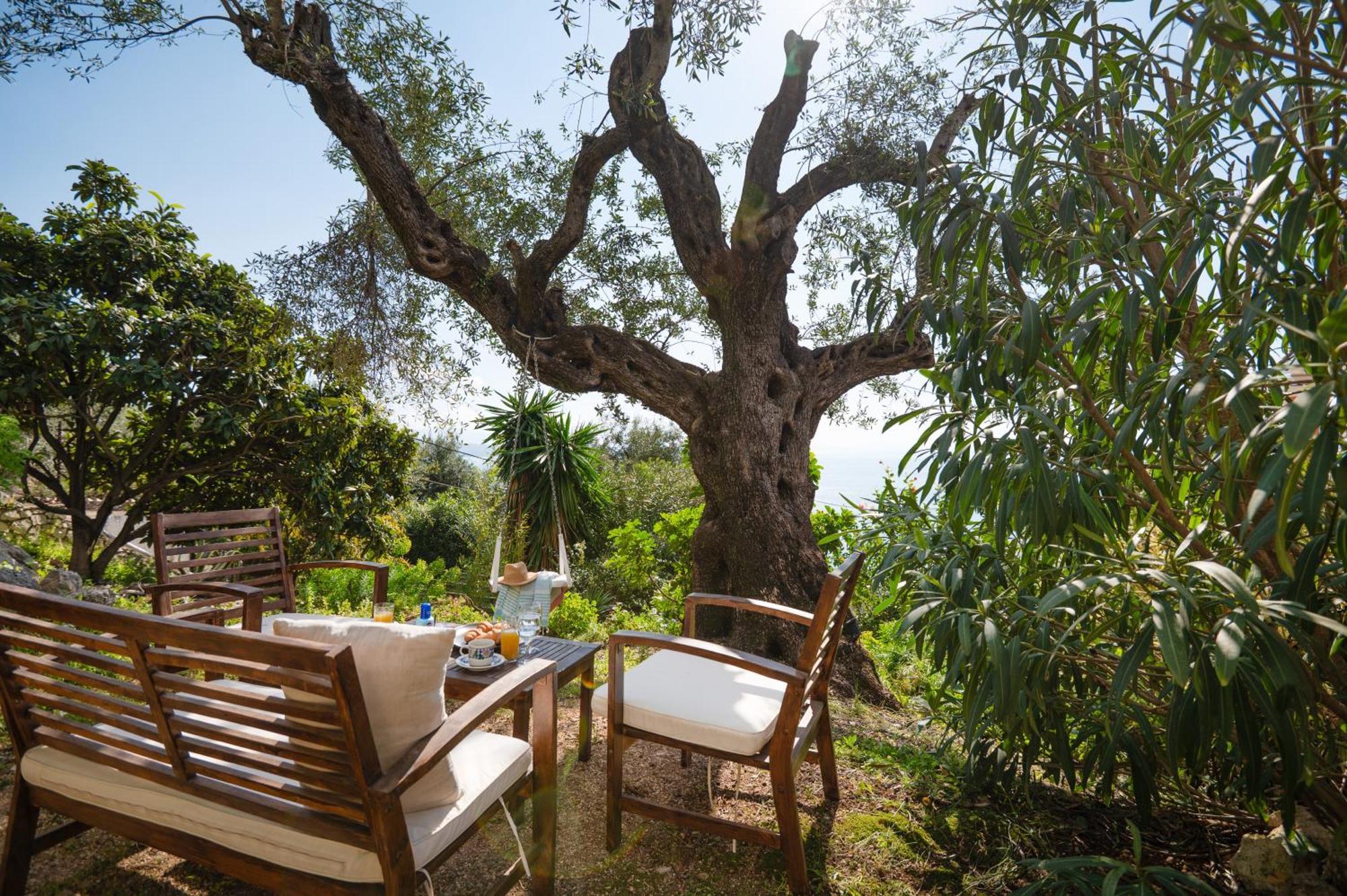 Sunrise View Apartments Barbati Extérieur photo